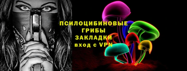 стафф Осинники