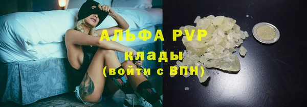 прущая мука Пересвет