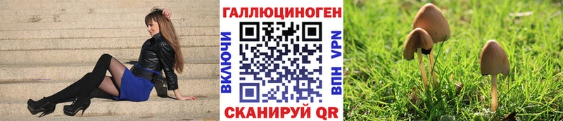 Галлюциногенные грибы ЛСД Губаха